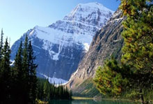 紧致抗老护肤品排行榜