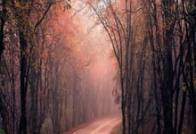 价目表设计模板图免费,价目表模板图片免费下载