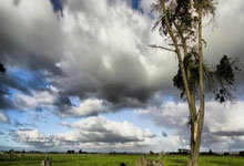 免费素材库大全搞笑,免费的搞笑素材库视频