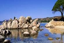 ppt如何复制到另一个ppt模板上,如何将ppt复制到新模板